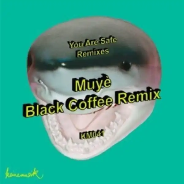 Black Coffee, Rampa, Adam Port - Muyè (Black Coffee Remix)